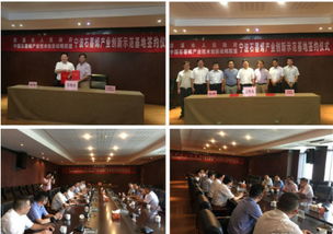 慈溪市與中國石墨烯產(chǎn)業(yè)創(chuàng)新聯(lián)盟簽訂協(xié)議 摁下發(fā)展快進鍵 新材料技術(shù)推廣服務(wù)